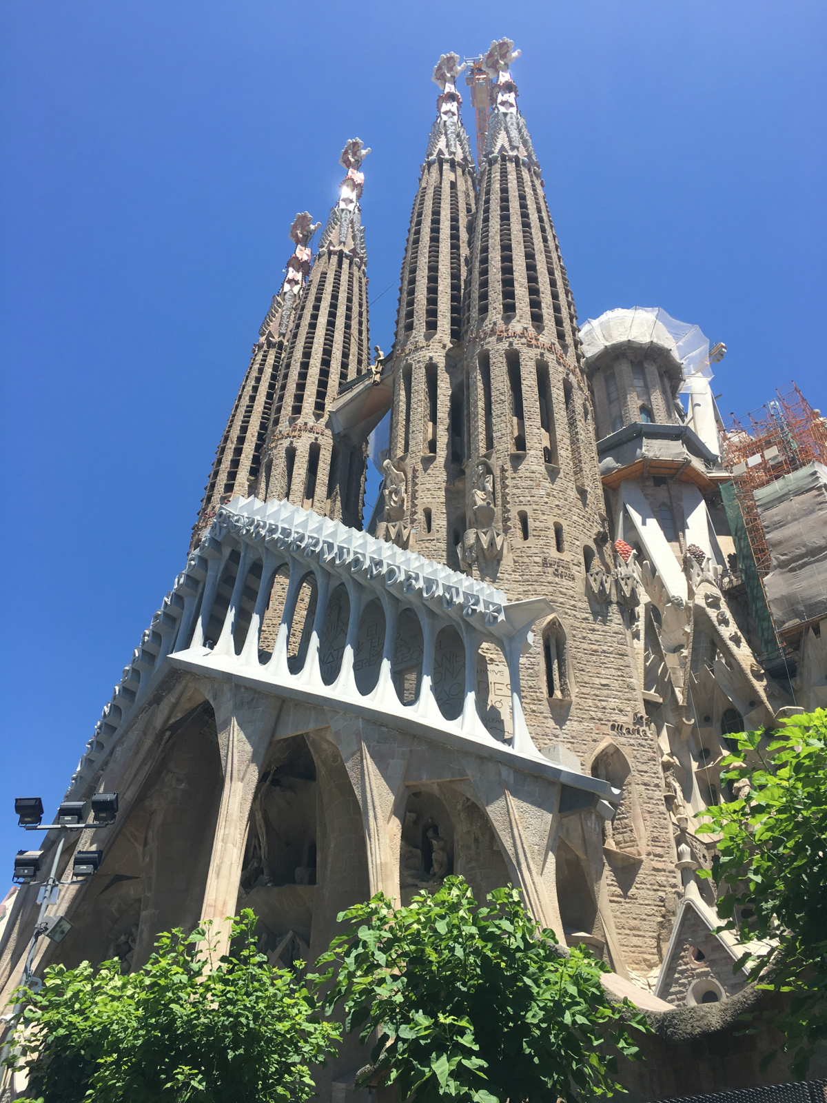 Barcelona Cathedral